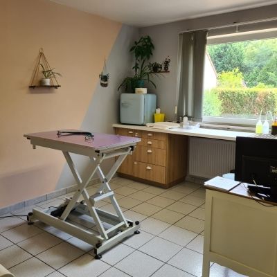 Rafraichissement des salles de consultations
