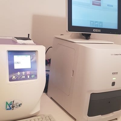 Cabinet Vétérinaire Rive Droite