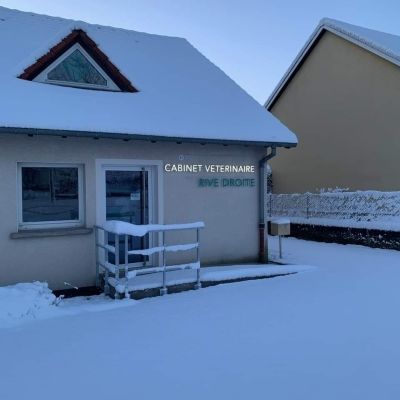 Cabinet Vétérinaire Rive Droite