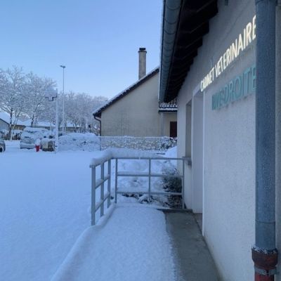 Cabinet Vétérinaire Rive Droite