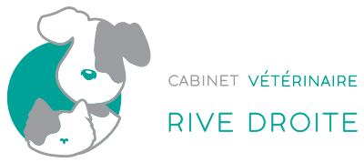 Cabinet Vétérinaire Rive Droite